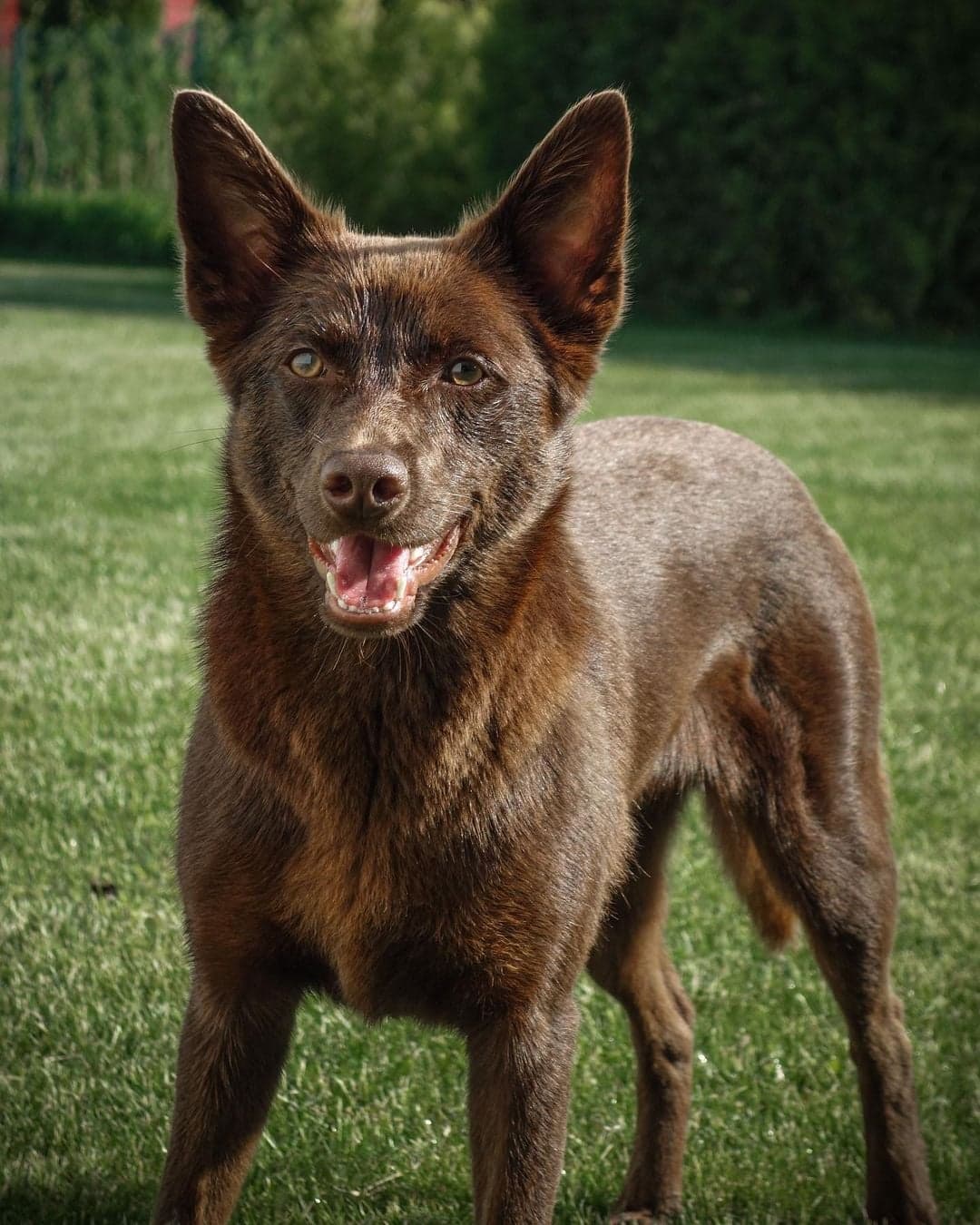 ids-luige-estonia-20-8-2022-didaktic-s